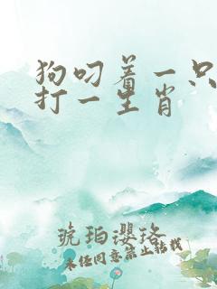 狗叼着一只兔子打一生肖