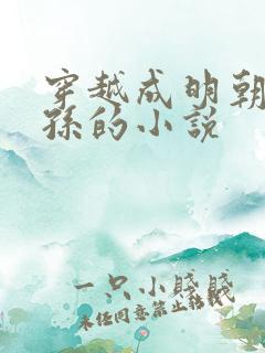 穿越成明朝皇太孙的小说