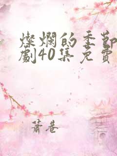 灿烂的季节电视剧40集免费观看