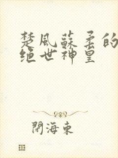 楚风苏柔的小说绝世神皇