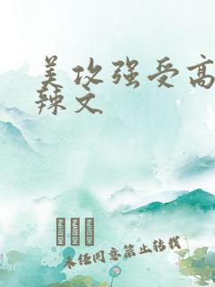 美攻强受高h肉辣文