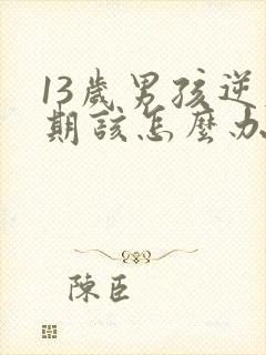 13岁男孩逆反期该怎么办