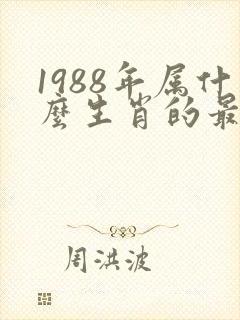 1988年属什么生肖的最佳配偶