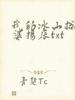 我的冰山总裁老婆杨辰txt