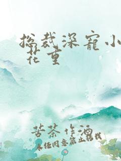 总裁深宠小甜妻 花重