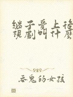 继子爱上后妈电视剧叫什么