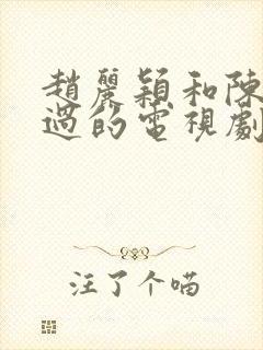 赵丽颖和陈晓演过的电视剧