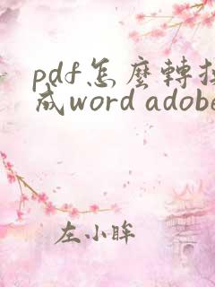 pdf怎么转换成word adobe