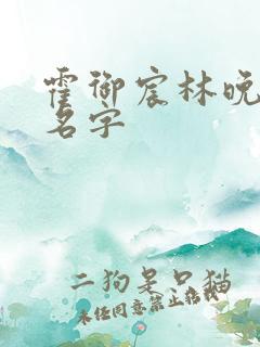 霍御宸林晚小说名字