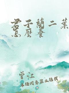 君子兰二叶小苗怎么养