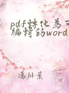 pdf转化为可编辑的word