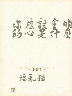 你应该会明白我的心是什么歌