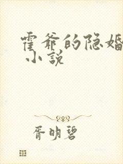 霍爷的隐婚罪妻 小说