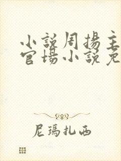 小说周扬主角的官场小说免费阅读