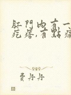 肛门内有一个硬疙瘩,有点痛