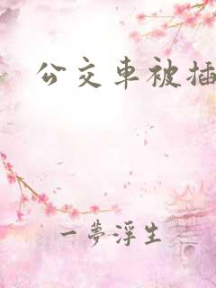公交车被插小说