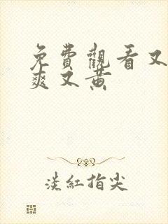免费观看又色又爽又黄