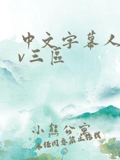 中文字幕人妻av三区