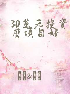 30万元投资什么项目好