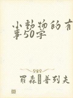 小动物的有趣故事50字