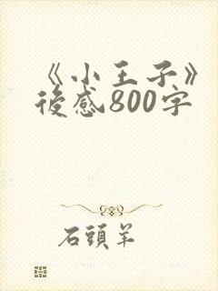 《小王子》的读后感800字