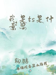 我是ts是什么意思
