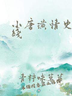 小唐璜情史 在线