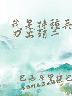我是特种兵之利刃出鞘二