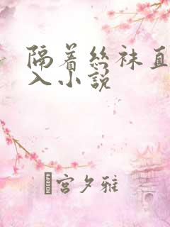 隔着丝袜直接进入小说