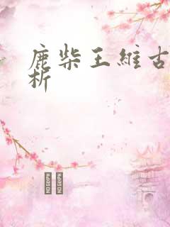 鹿柴王维古诗解析