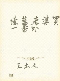 亿万老婆买一送一番外