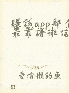 赚钱app哪个最靠谱微信提