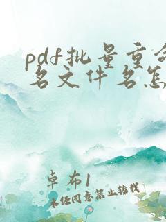 pdf批量重命名文件名怎么弄