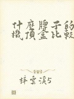 什么牌子的网络机顶盒比较好用?