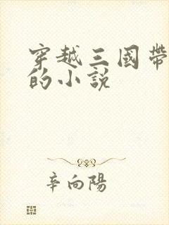 穿越三国带系统的小说
