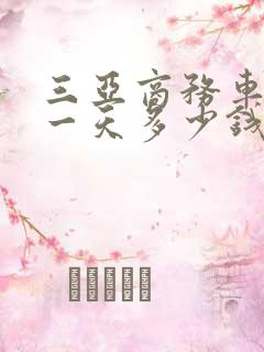 三亚商务车包车一天多少钱