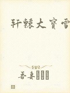 轩辕大宝雪妃