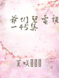 爷们儿电视剧1一45集