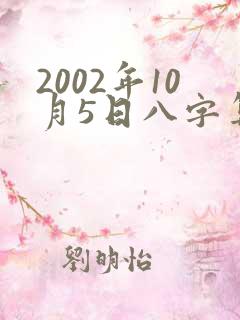 2002年10月5日八字算命