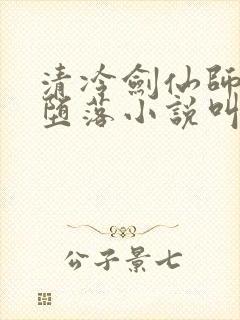 清冷剑仙师姐的堕落小说叫什么名字