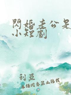 闪婚老公是豪门小短剧