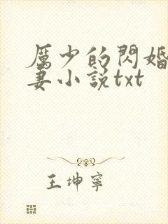厉少的闪婚小萌妻小说txt