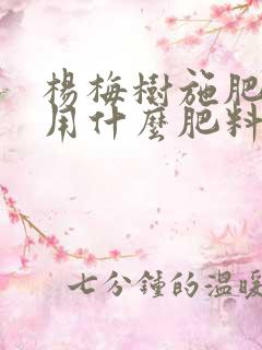 杨梅树施肥最好用什么肥料
