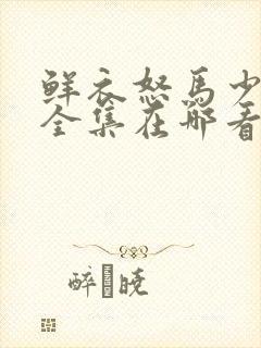 鲜衣怒马少年郎全集在哪看