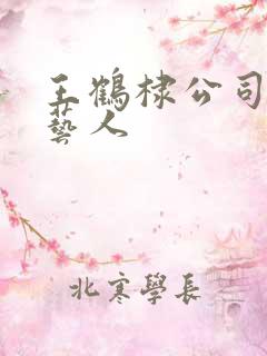 王鹤棣公司旗下艺人