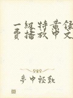 一级特黄录像免费播放中文