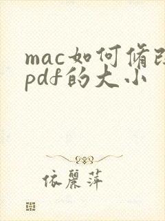 mac如何修改pdf的大小