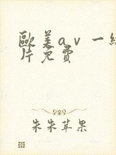 欧美aⅴ一级 片免费