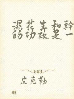 湿花生和干花生的功效是一样的吗