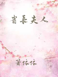 省长夫人